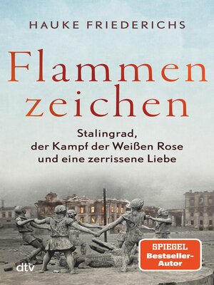 cover image of Flammenzeichen